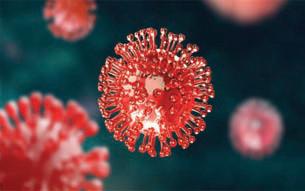 7 more test positive for COVID in State, tally rises to 30