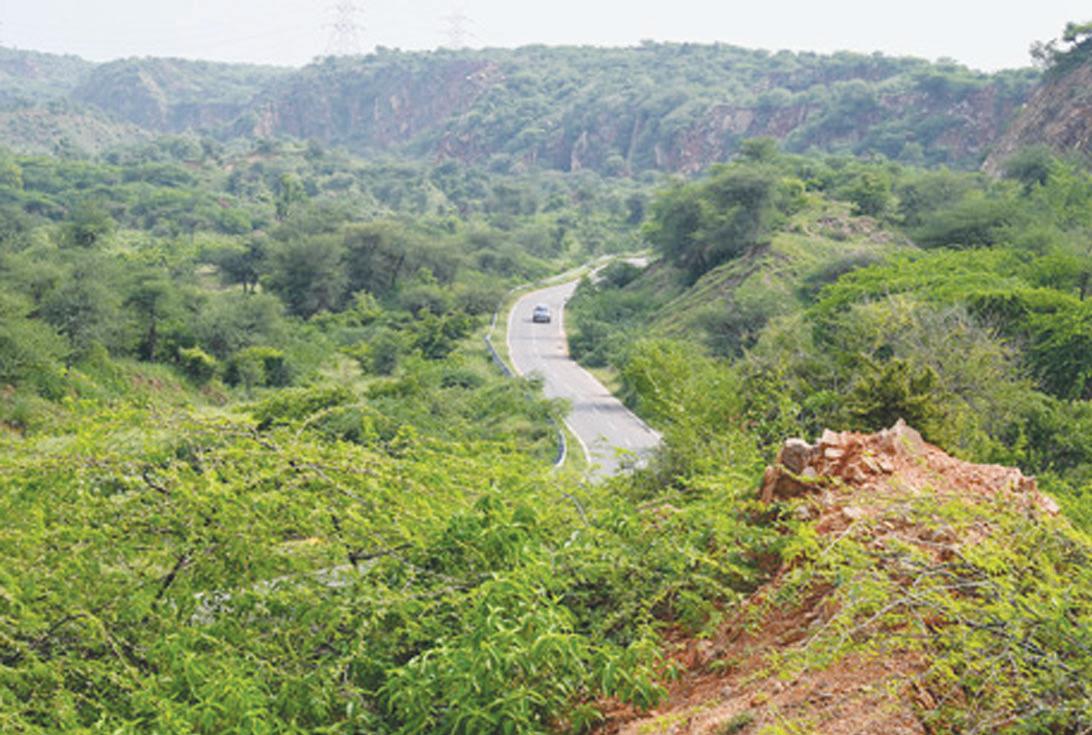 Revamped Green India Mission aims to restore ecosystems in Aravallis, Himalayas, Western Ghats
