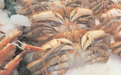Imported seafood increasing resistance to colistin, a potent antibiotic: Study