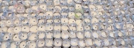 South Korea: Six Americans nabbed for trying to send plastic bottles with rice, dollar bills to North Korea