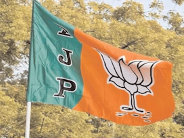 Odisha BJP likely to get new president by July 8