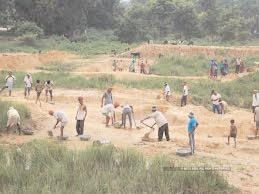 UP to plant 12.5 cr saplings under MGNREGA scheme