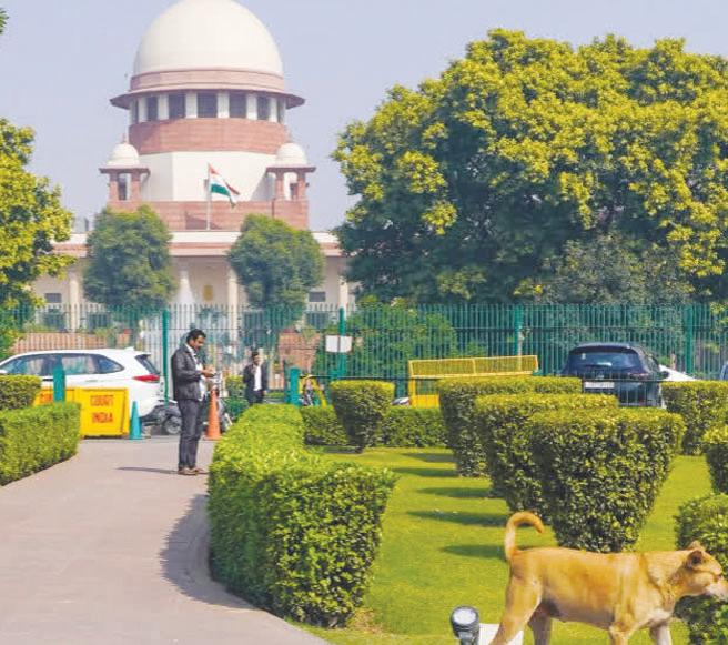 SC by 2:1 majority recalls its verdict barring post-facto green norms, Justice Bhuyan dissents