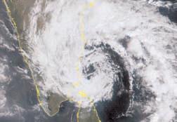 Ditwah: Telecom dept sets up 24X7 control room to safeguard network connectivity