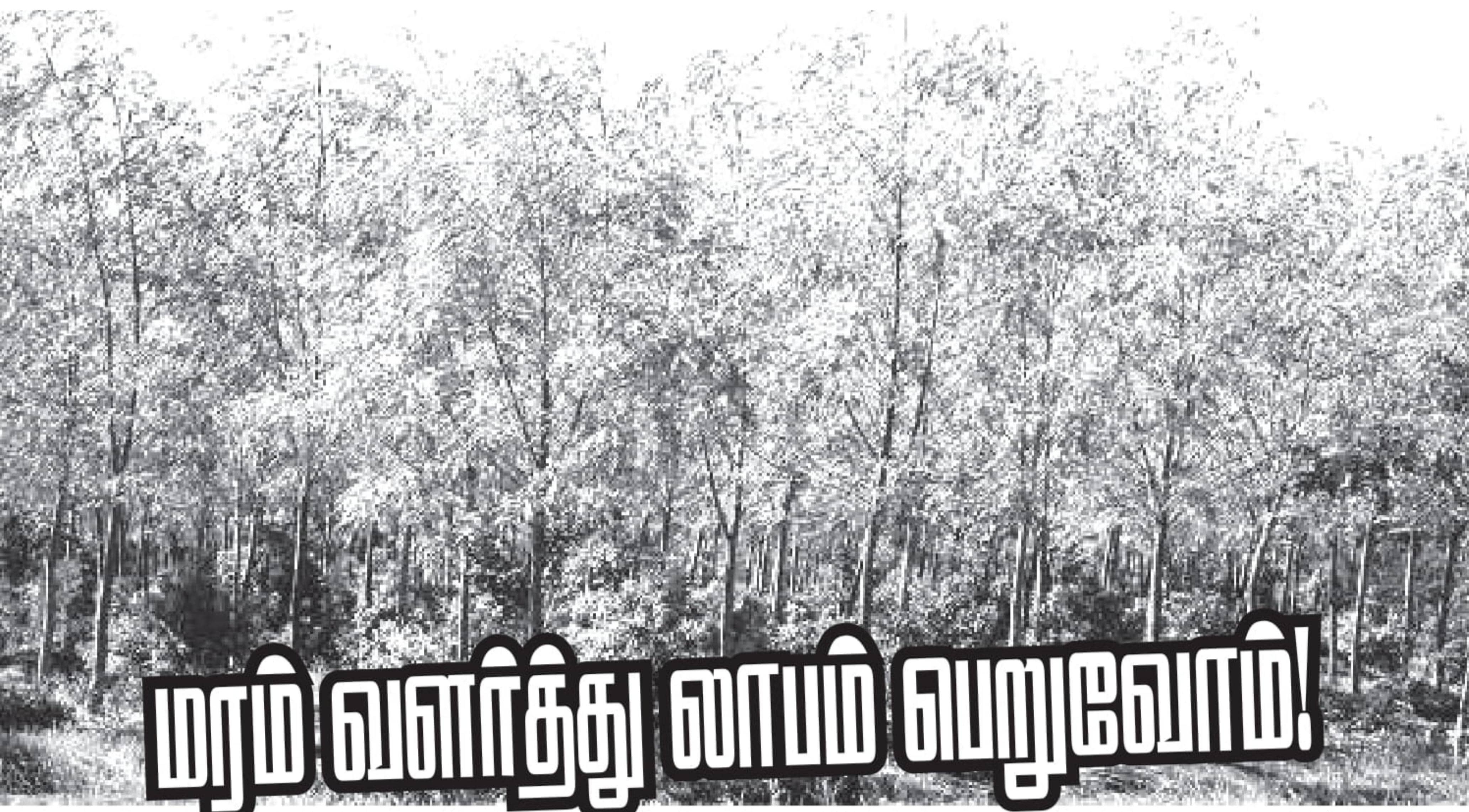 மரம் வளர்த்து லாபம் பெறுவோம்!