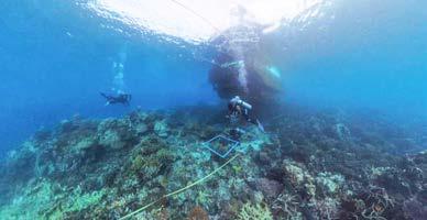 Officials demand B12mn over cargo ship reef damage