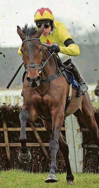 POIGNANT WIN FOR FESTIVAL HOPE CONTI