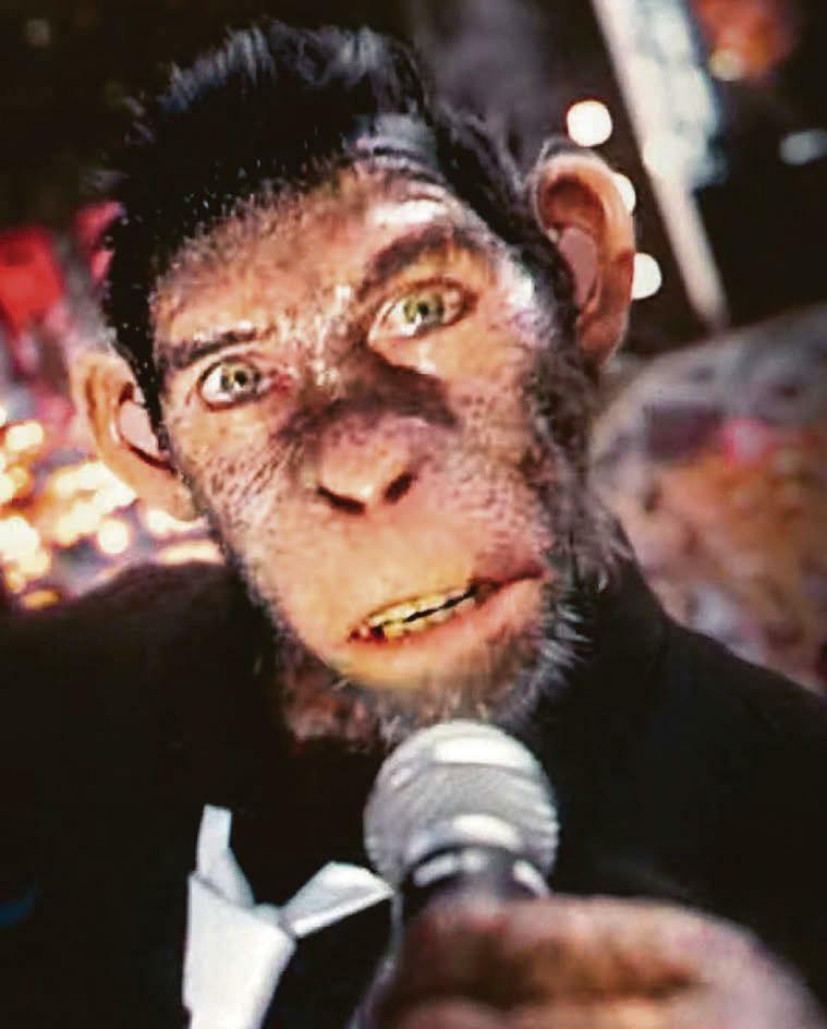 Robbie's monkey business