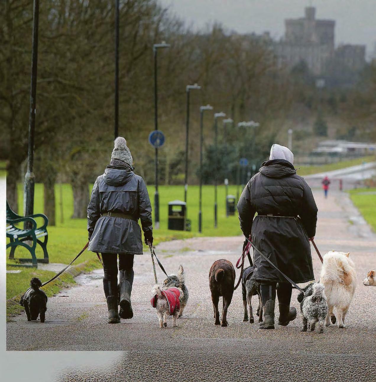 Leads united ..against fees