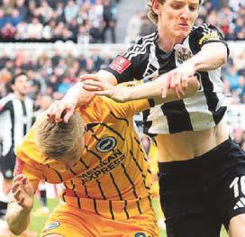 ANT LOSES HIS HEAD... & FINAL SPOT