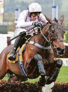 SCOTT'S GOLDEN DILEMMA