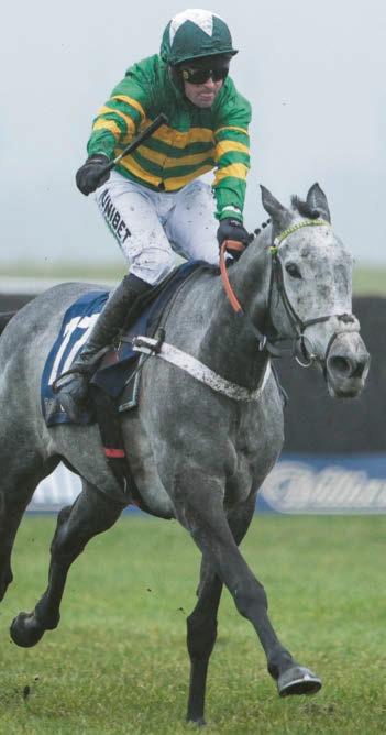 HENDO'S WORRY OVER JOY RIDE