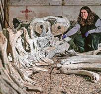 £80k bid to repair Moby Dick's chum