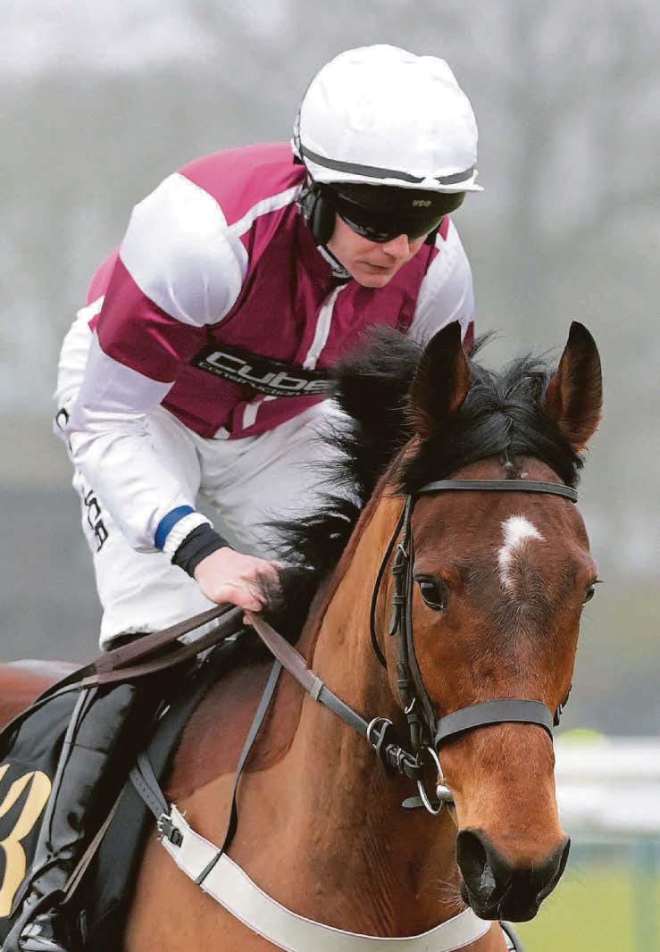 Hurdle rivals will find it hard to sting the Blues