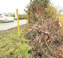 Teen driver's guilt at triple crash deaths