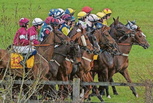 BHA KICK-START INQUIRY