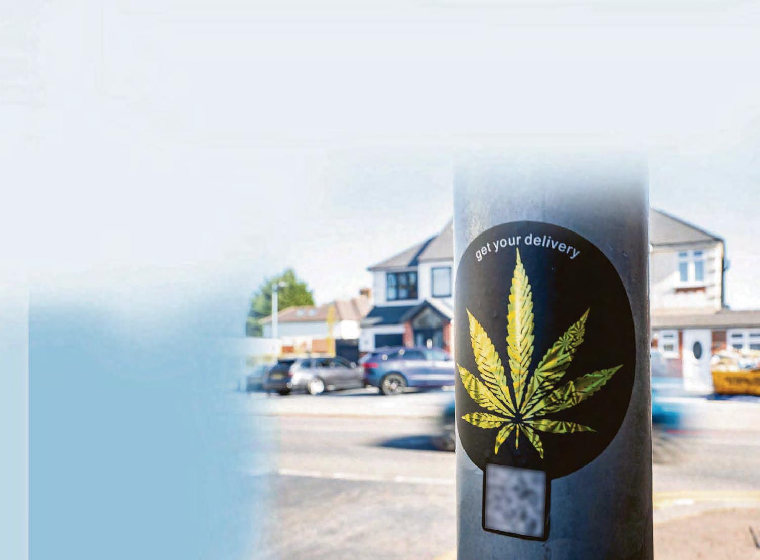 SCANS FOR DRUGS.. ON THE SCHOOL RUN