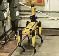 Robot dog in risky walk at nuclear plant