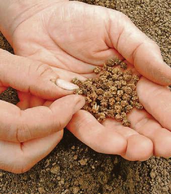 TOP 5 GARDENING JOBS