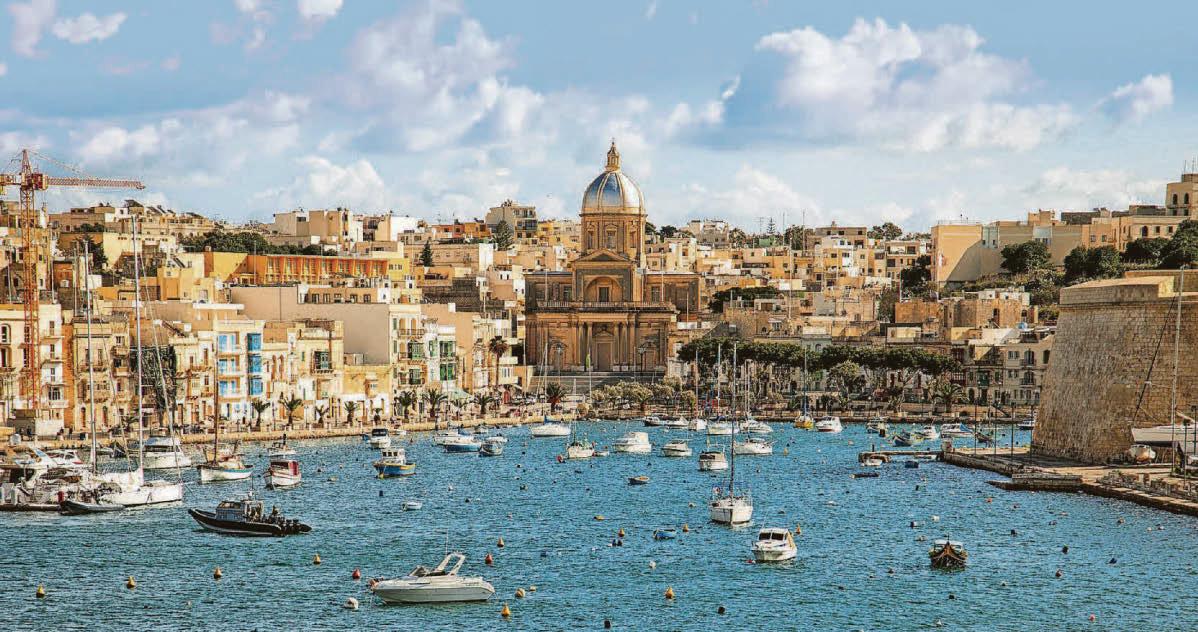 MALTESE PLEASER