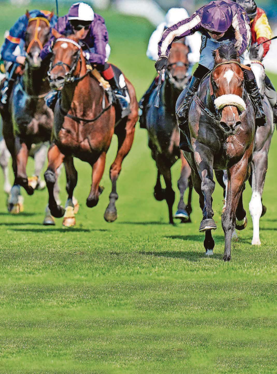 NEWSBOY'S ITV SELECTIONS