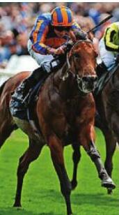 WINTER SET FOR YORK