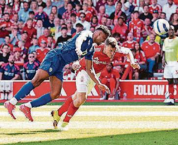 FOREST SLUMP