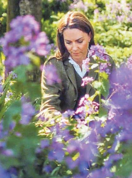 Nature is my Kate escape