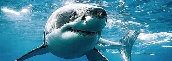 JAWS-DROPPING