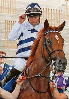 SO GAUL-ING FOR FELLOWES