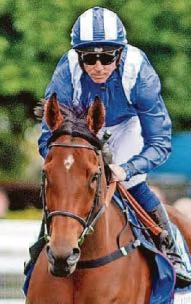 SHADWELL SET TO GO TO EL