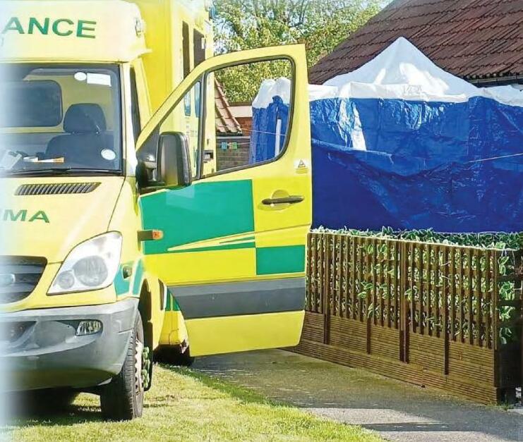 2 MYSTERY DEATHS IN SEASIDE RESORT