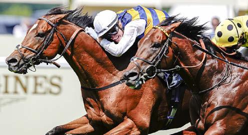 Docklands produces the goods in thrilling finish