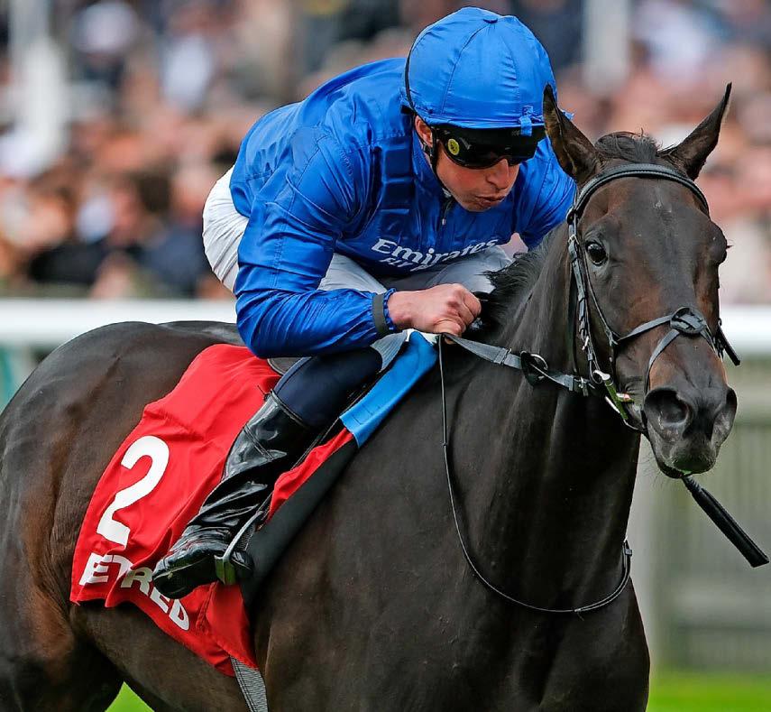 HAVE A BALL WITH DREAM