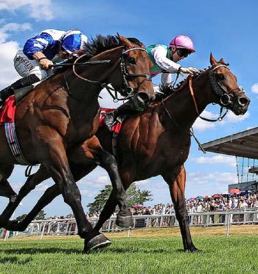 KEANE TO MISS GOLD RIDE