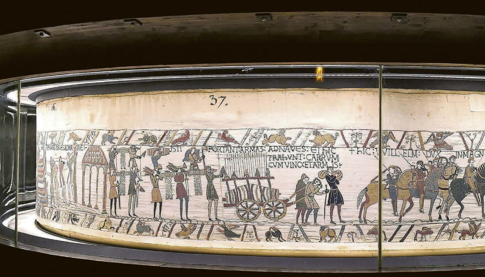 A missing coronation, Halley's Comet & 93 penises... Bayeux Tapestry mysteries unravelled