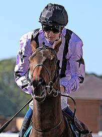 FAHEY'S DUE THIS RESPECT