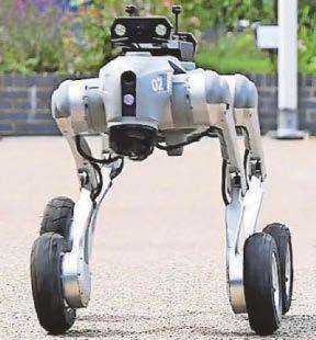 Robot police dog unleashed on beat