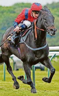 Dassler ready to dazzle for Thorpe