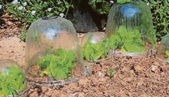 TOP 5 GARDENING JOBS