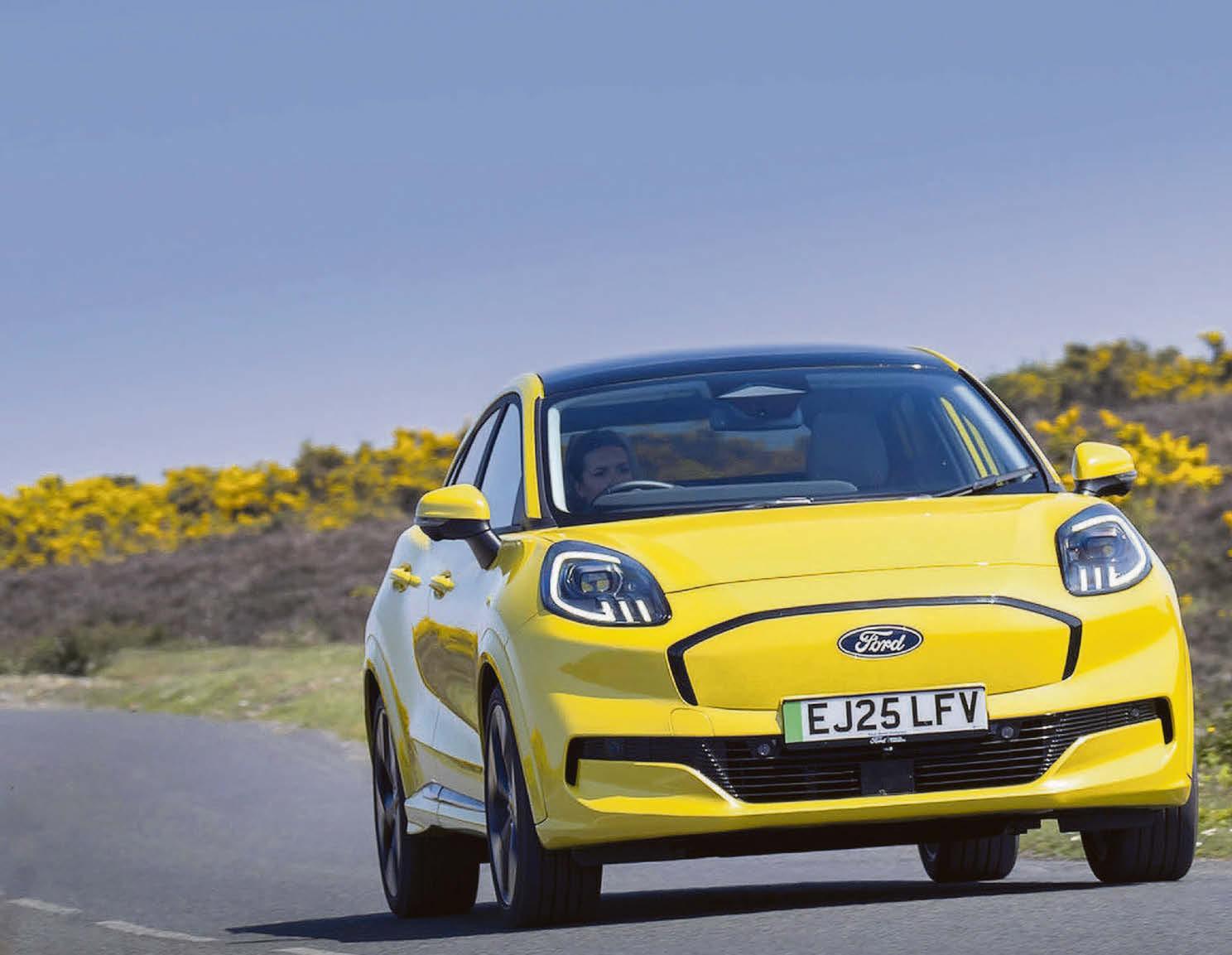 PUMA'S PRACTICAL ELECTRIC BEAST