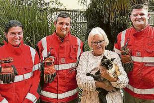 ALARMS RAISED FOR MISSING CAT