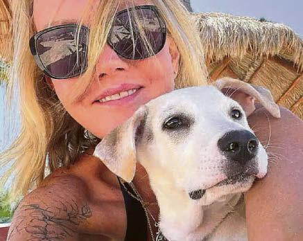 'Ferrari' jungle dog races home to UK