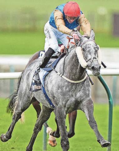 GOLD'S READY TO SPARKLE IN QEII CRACKER