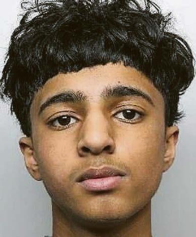 Murdered Harvey's mum: So many red flags were ignored