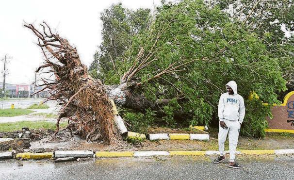 Storm of the century
