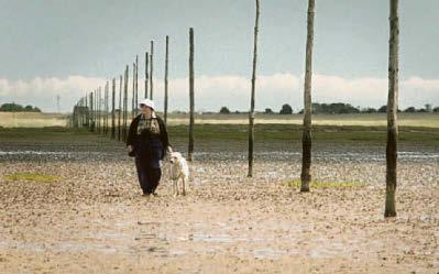 Another case for Vera? I'd be back like a shot