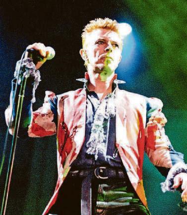 Bowie in the wilderness