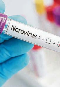Norovirus cases rise 61% as flu eases off