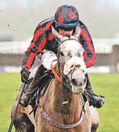 DAWSON RULES OUT BUMPER RUN FOR ROGUE